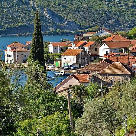 Apartments Dinko Zifra Tivat Exteriör bild