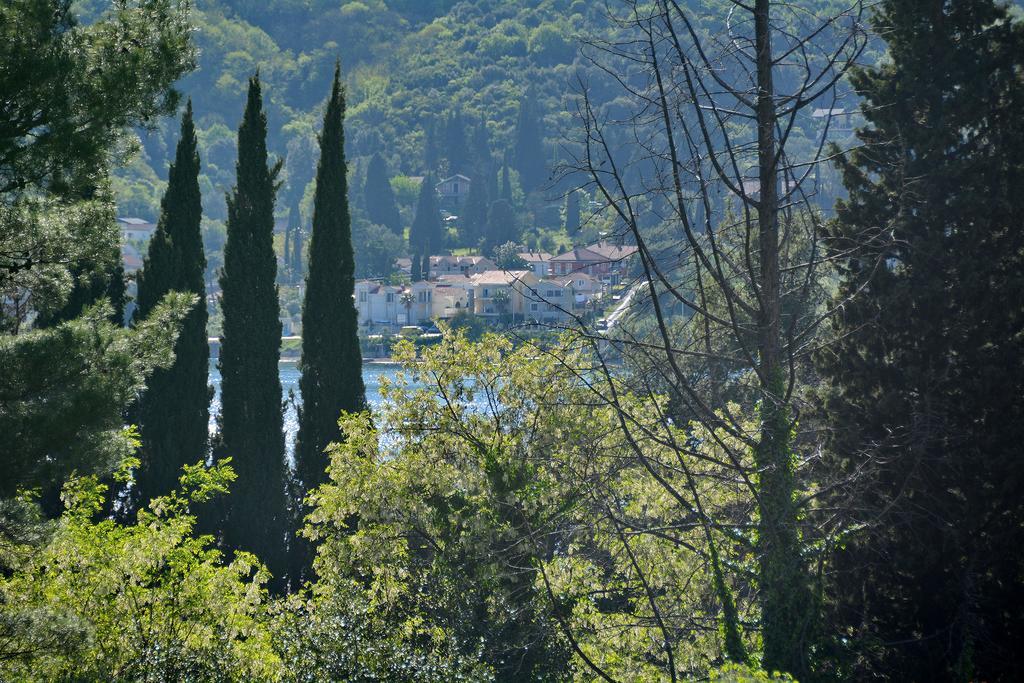 Apartments Dinko Zifra Tivat Exteriör bild